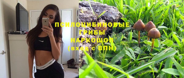 гидропоника Надым