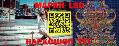 PSILOCYBIN Краснодар