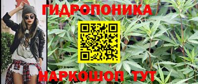 PSILOCYBIN Краснодар
