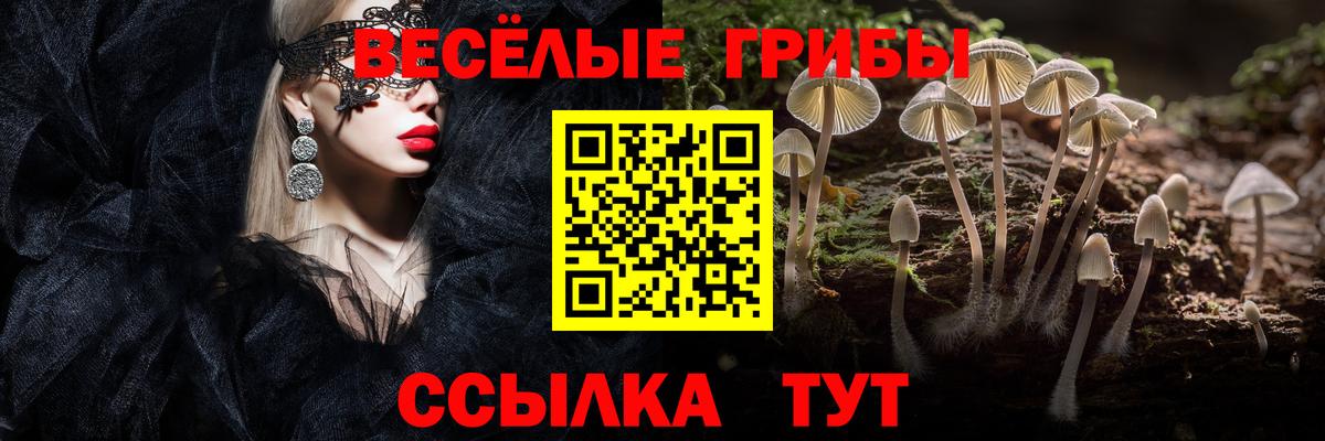 Галлюциногенные грибы прущие грибы Лиски