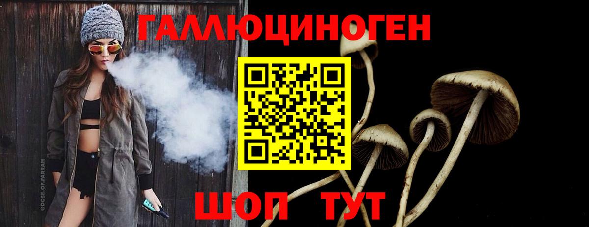 Галлюциногенные грибы GOLDEN TEACHER  Вход с VPN  Лиски  Псилоцибиновые грибы прущие грибы 